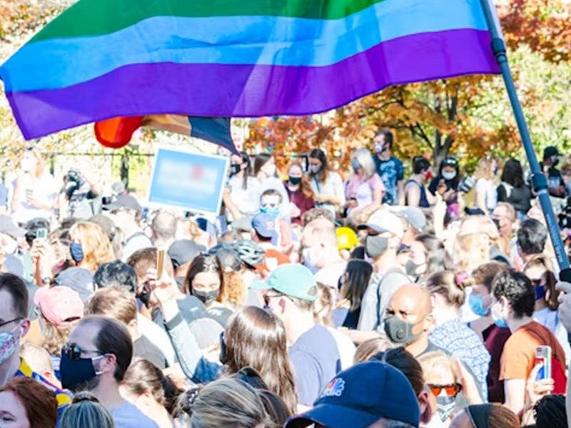 Xohomo - LGBTQ+ Support for Political Candidates: Who's Leading the Fight?